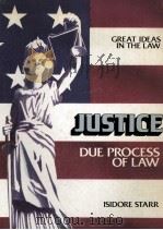 JUSTICE:DUE PROCESS OF LAW 1981 PDF电子版封面 0829910204