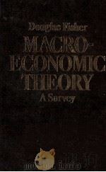 DOUGLAS FISHER MACRO-THEORY A SURVEY 1983 PDF电子版封面 0312503296