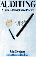 AUDITING A GUIDE T OPRINCILES AND PRACTICE（1982 PDF版）
