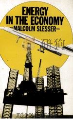 ENERGY IN THE ECONOMY（1978 PDF版）
