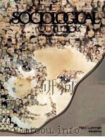 THE SOCIOLOGICAL OUTLOOK:A TEXT WITH READINGS 2ND EDITION（1989 PDF版）