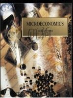 MICROECONOMICS 1994 PDF电子版封面 0256113041