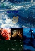 小学館百科?別巻-2 海洋大地図 1980 PDF电子版封面 相賀徹夫