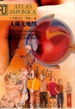 小学館百科?別巻-4 人体大地図 1980 PDF电子版封面 相賀徹夫