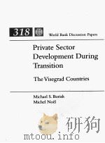 PRIVATE SECTOR DEVELOPMENT DURING TRANSITION THE VISGRAD COUNTRIES（1996 PDF版）