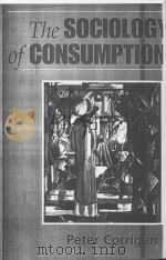 The Sociology of Consumption An Introduction（1997 PDF版）