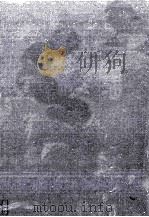 損益計算書論 1977 PDF电子版封面 稲垣冨士男