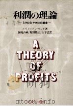 利潤の理論 ミクロとマクロの統合 1979 PDF电子版封面 エイドリアンウッド
