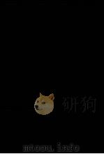 現代財政理論 1981 PDF电子版封面 水野正一、牛嶋正