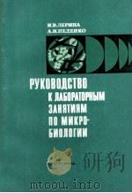 РУКОВОДСТВО К ЛАБОРАТОРНЫМ ЗАНЯТИЯМ ПО МИКРОБИОЛОГИИ 1980 PDF电子版封面 И.В.ЛЕРИНА А.И.ПЕДЕНКО