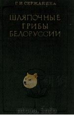ШЛЯПОЧНЫЕ ГРИБЫ БЕЛОРУССИИ 1984 PDF电子版封面 Г.И.СЕРЖАНИНА