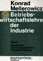 BETRIEBSWIRTSCHAFTSLEHRE DER INDUSTRIE 1981 PDF电子版封面