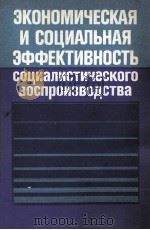 ЗКОНОМИЧЕСКАЯ И СОЦИАЛЬНАЯ ЗФФЕКТИВНОСТЬ СОЦИАЛИСТИЧЕСКОГО ВОСПРОИЗВАОДСТВА 1985 PDF电子版封面