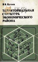 ТЕРРИТОРИАЛЬНАЯ СТРУКТУРА ЭКОНОМИЧЕСКОГО РАЙОНА（1986 PDF版）