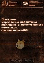 ПРОБЛЕМЫ УПРАВЛЕНИЯ РАЗВИТИЕМ ТОПЛИВНО-ЭНЕРГЕТИЧЕСКОГО КОМПЛЕКСА СТРАН-ЧЛЕНОВ СЭВ 1982 PDF电子版封面