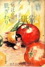肌ざわり（1980.06 PDF版）