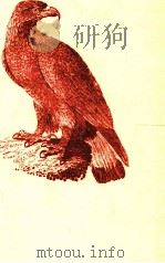 燃える男の肖像 1981.10 PDF电子版封面 木本正次