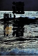 遠い渚 長編小説（1979.01 PDF版）