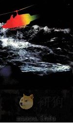 遠い渚 長編サスペンス小説 1980.08 PDF电子版封面 西村寿行