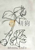 回想の戦後文学 敗戦から六〇年安保まで 1979.12 PDF电子版封面 中島健蔵