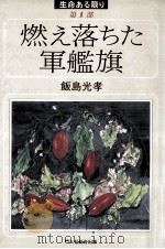 燃え落ちた軍艦旗（1991.01 PDF版）