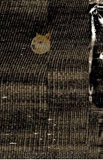 傷ある翼（1962 PDF版）