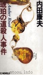 琥珀の道殺人事件 1993.05 PDF电子版封面 内田康夫