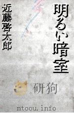 明るい暗室（1985.11 PDF版）