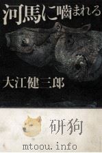 河馬に嚙まれる 河馬に噛まれる 1985.12 PDF电子版封面 大江健三郎