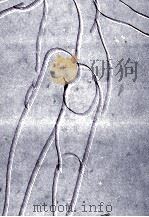 蒼い小さな話（1978.07 PDF版）