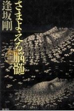 さまよえる脳髄 1988.10 PDF电子版封面 逢坂剛