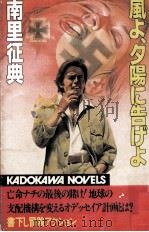 風よ、夕陽に告げよ 1982.04 PDF电子版封面 南里征典