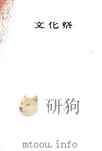 文化祭 自選短篇集 1977.05 PDF电子版封面 結城信一