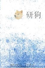 ア·ルース·ボーイ（1991.06 PDF版）