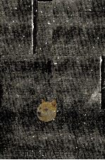 関ケ原 1973.01 PDF电子版封面 司馬遼太郎