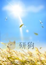 Essays in Chemistry Volume 7（1977 PDF版）