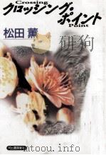 クロッシング·ポイント 1993.02 PDF电子版封面 松田薫
