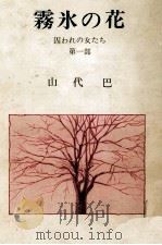 霧氷の花 1980.11 PDF电子版封面 山代巴