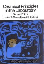 Chemical Principles in the Laboratory Second Edition（1981 PDF版）