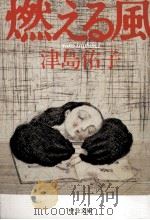 燃える風 1985.07 PDF电子版封面 津島佑子