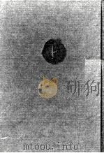 イヌワシのように 1981.05 PDF电子版封面 丸山健二