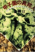 甲子園の異邦人 1985.05 PDF电子版封面 金賛汀