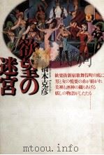欲望の迷宮（1989.03 PDF版）