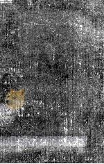 人間滅亡的人生案内 1971.07 PDF电子版封面 深沢七郎