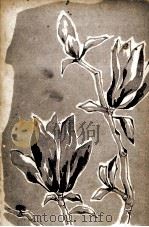 女のこころ 1964.02 PDF电子版封面 鈴鹿俊子