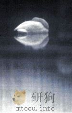 生きる勇気が湧いてくる本 1996.11 PDF电子版封面 遠藤周作