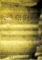 美貌の青空（1987.01 PDF版）