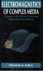 ELECTROMAGNETICS OF COMPLEX MEDIA（1999 PDF版）
