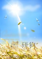 HEALTH SERVICES MANAGEMENT TRAINNG IN BRITAIN FOR OVERSEAS STUDENTS FIFTH EDITION（ PDF版）