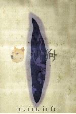 僕らの広大なさびしさ 1995.02 PDF电子版封面 谷村志穂